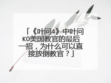 《叶问4》中叶问KO美国教官的最后一招,为什么可以直接放倒教官?