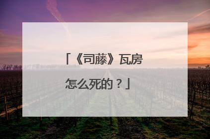 《司藤》瓦房怎么死的?