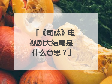 《司藤》电视剧大结局是什么意思?