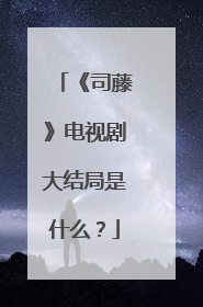 《司藤》电视剧大结局是什么?