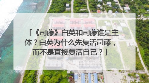 《司藤》白英和司藤谁是主体?白英为什么先复活司藤,而不是直接复活自己?