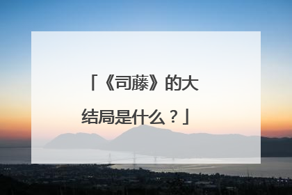 《司藤》的大结局是什么？