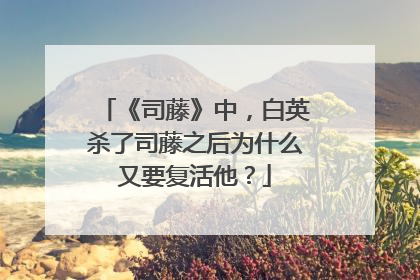 《司藤》中，白英杀了司藤之后为什么又要复活他？