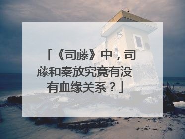 《司藤》中，司藤和秦放究竟有没有血缘关系？