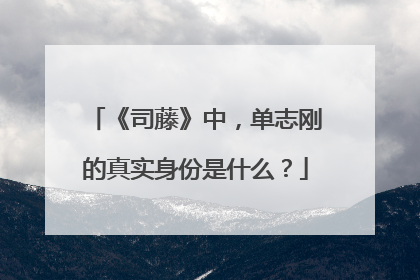 《司藤》中,单志刚的真实身份是什么?