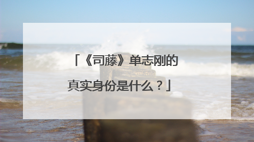 《司藤》单志刚的真实身份是什么?
