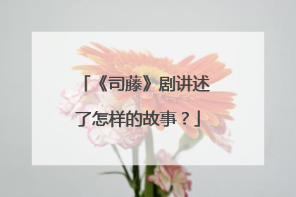 《司藤》剧讲述了怎样的故事？