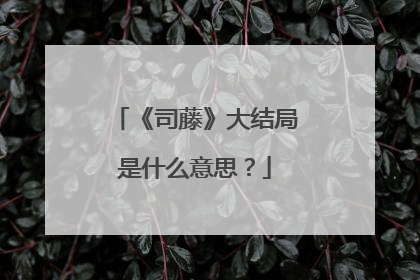 《司藤》大结局是什么意思?