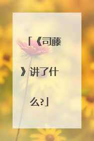 《司藤》讲了什么?