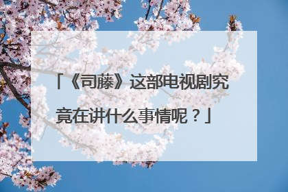 《司藤》这部电视剧究竟在讲什么事情呢？