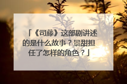 《司藤》这部剧讲述的是什么故事？景甜担任了怎样的角色？