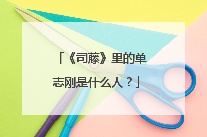 《司藤》里的单志刚是什么人？