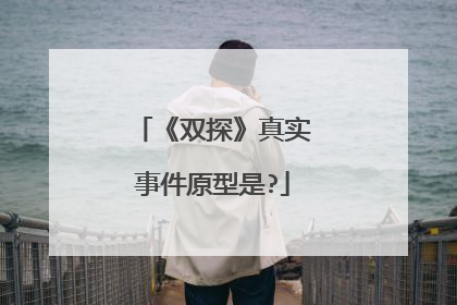《双探》真实事件原型是?