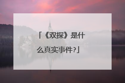 《双探》是什么真实事件?