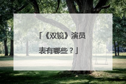 《双镜》演员表有哪些?