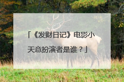 《发财日记》电影小天意扮演者是谁？