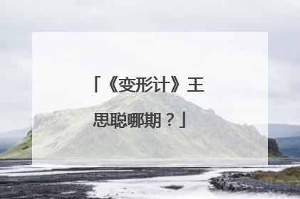 《变形计》王思聪哪期?