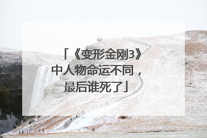 《变形金刚3》中人物命运不同，最后谁死了