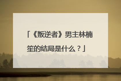 《叛逆者》男主林楠笙的结局是什么？