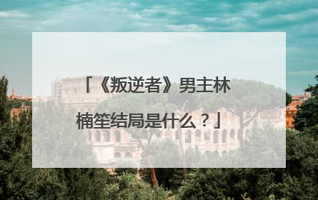 《叛逆者》男主林楠笙结局是什么？