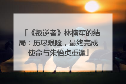《叛逆者》林楠笙的结局：历尽艰险，最终完成使命与朱怡贞重逢