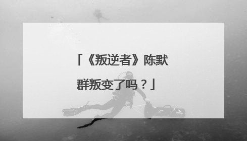 《叛逆者》陈默群叛变了吗？