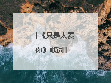 《只是太爱你》歌词