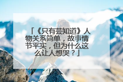 《只有芸知道》人物关系简单,故事情节平实,但为什么这么让人想哭?