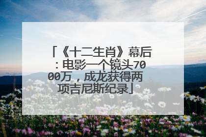 《十二生肖》幕后：电影一个镜头7000万，成龙获得两项吉尼斯纪录
