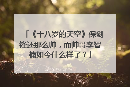 《十八岁的天空》保剑锋还那么帅,而帅哥李智楠如今什么样了?