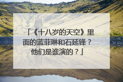 《十八岁的天空》里面的蓝菲琳和石延锋?他们是谁演的?