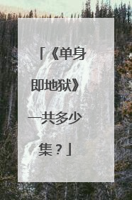 《单身即地狱》一共多少集?