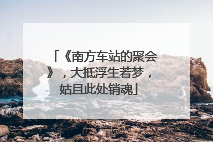 《南方车站的聚会》，大抵浮生若梦，姑且此处销魂