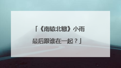 《南辕北辙》小雨最后跟谁在一起？