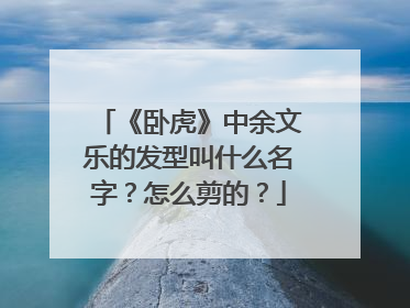 《卧虎》中余文乐的发型叫什么名字？怎么剪的？