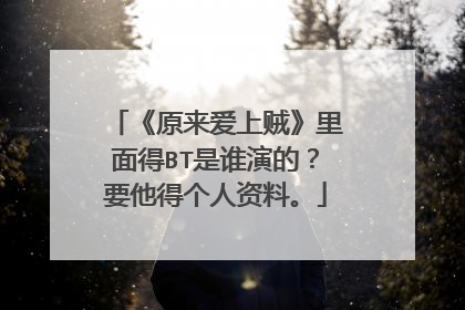 《原来爱上贼》里面得BT是谁演的?要他得个人资料。