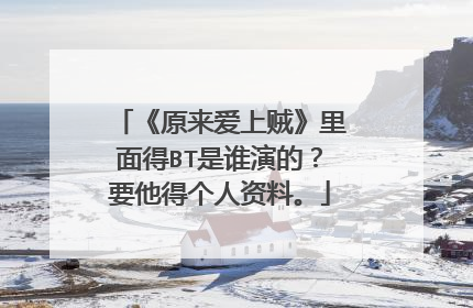 《原来爱上贼》里面得BT是谁演的？要他得个人资料。