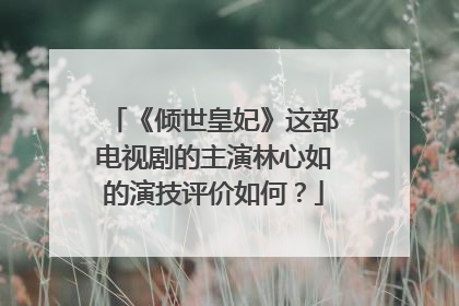 《倾世皇妃》这部电视剧的主演林心如的演技评价如何？