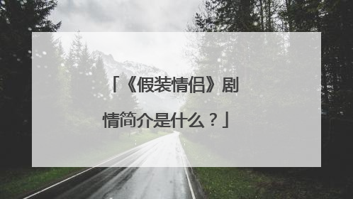 《假装情侣》剧情简介是什么？