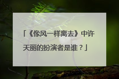 《像风一样离去》中许天丽的扮演者是谁?