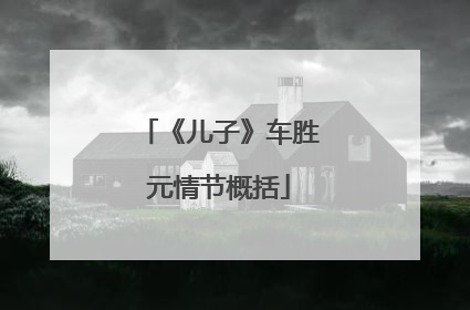 《儿子》车胜元情节概括