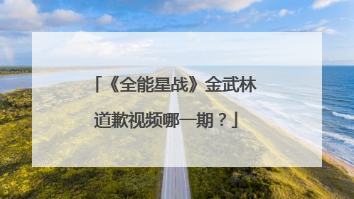 《全能星战》金武林道歉视频哪一期?