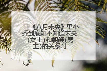 《八月未央》里小乔到底知不知道未央(女主)和朝颜(男主)的关系?