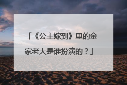 《公主嫁到》里的金家老大是谁扮演的？