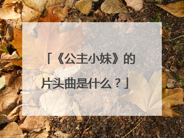 《公主小妹》的片头曲是什么？