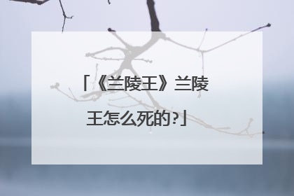 《兰陵王》兰陵王怎么死的?