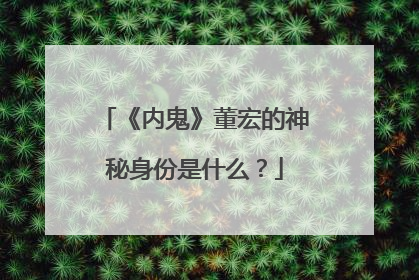 《内鬼》董宏的神秘身份是什么？