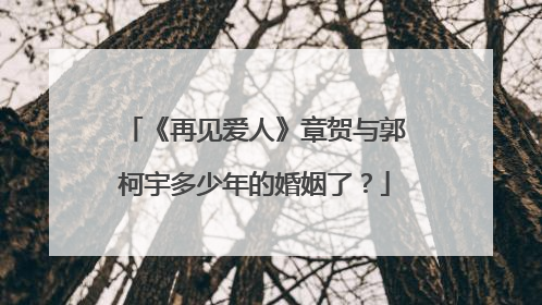 《再见爱人》章贺与郭柯宇多少年的婚姻了？