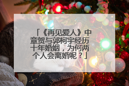 《再见爱人》中章贺与郭柯宇经历十年婚姻，为何两个人会离婚呢？