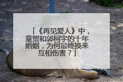 《再见爱人》中,章贺和郭柯宇的十年婚姻,为何最终换来互相伤害?